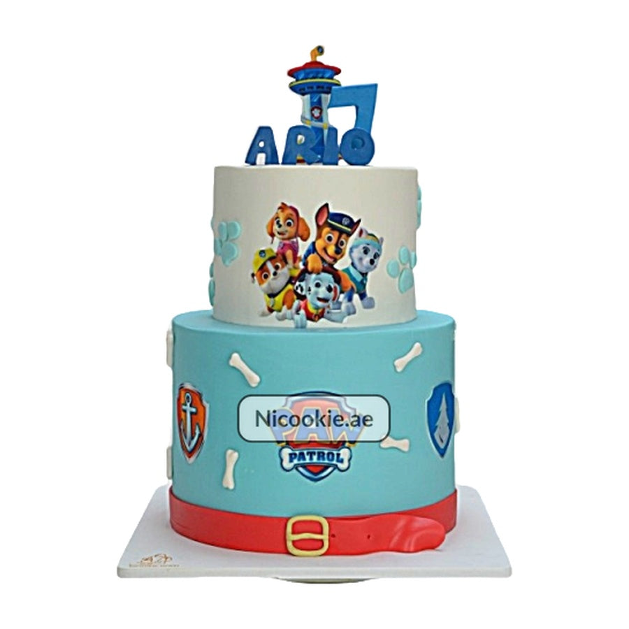 Paw Patrol Adventure Cake