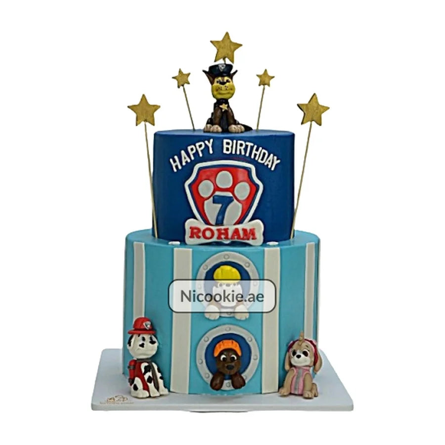 Paw Patrol Stars Cake